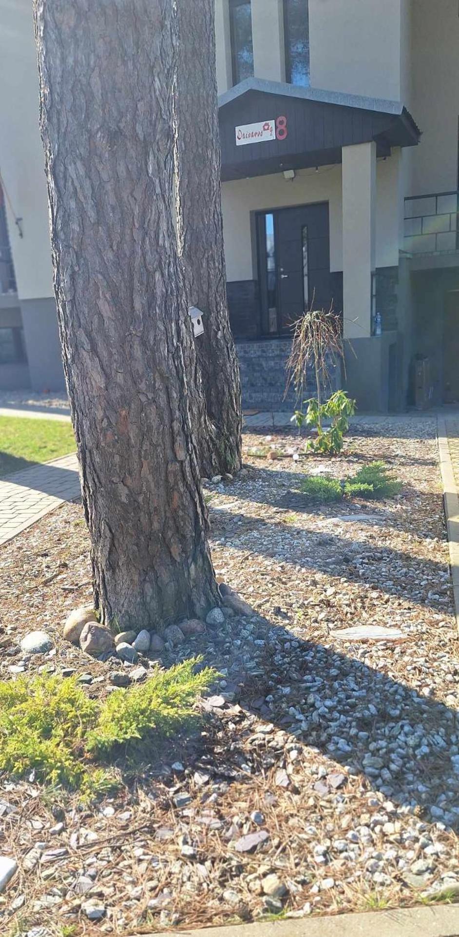 Dainavos Apartamentai Druskininkai Dış mekan fotoğraf
